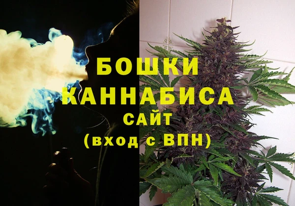 индика Верхнеуральск