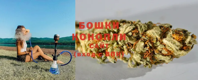 Бошки Шишки White Widow  Курчалой 